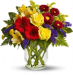 Brighten Your Day 