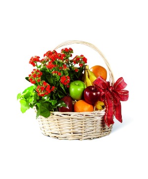 GARDEN PARADISE BASKET 
