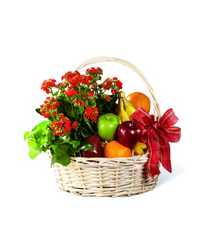 GARDEN PARADISE BASKET 