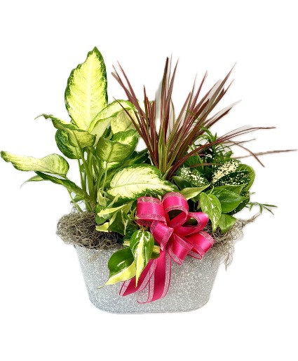 Garden Party Greens European Garden Basket