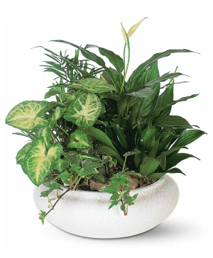 GARDEN PLANTER Funeral