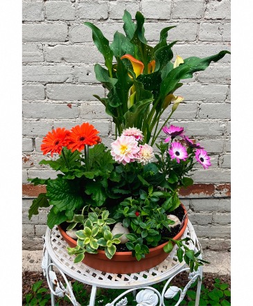 Garden Planter Planter in Lakefield, ON | LAKEFIELD FLOWERS & GIFTS