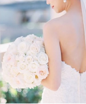 Luxe Rose  