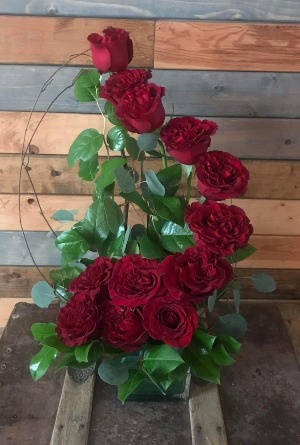 Garden rose tower of love 