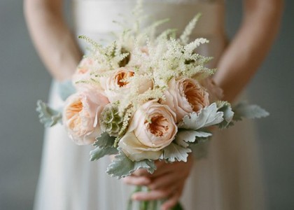 Garden Roses  