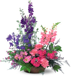 Garden Melody 