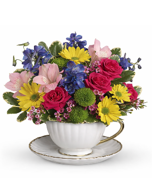 Garden Tea Blooms 
