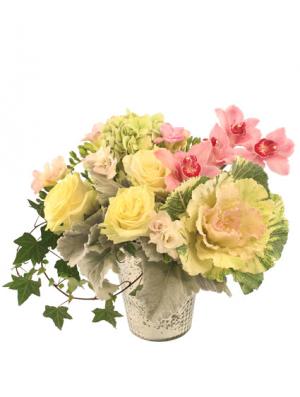 Garden Veranda Arrangement