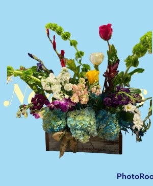 Garden Window box Wild flower collection 