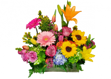 Gardeners Delight Arrangement in Vernon, NJ | HIGHLAND FLOWERS