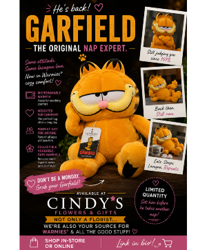 Garfield Warmies® Gift Item