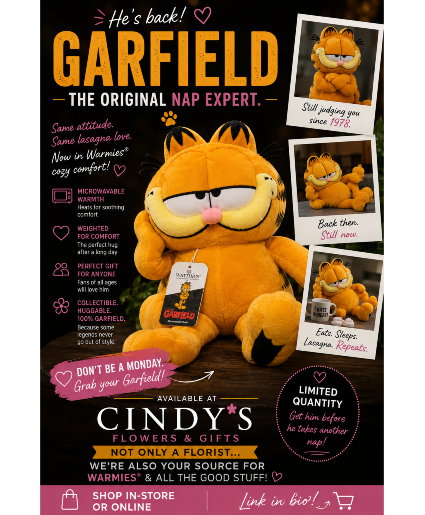 Garfield Warmies® Gift Item