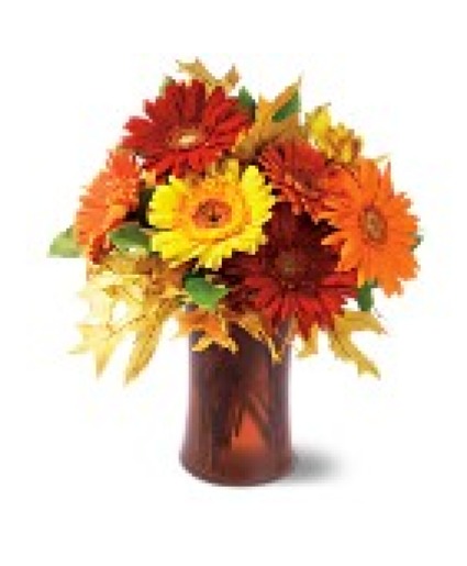 Gathering of Gerbera Daisys Fall Bouquet
