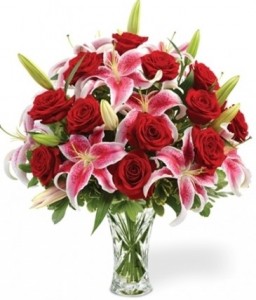 Gazers of Love 