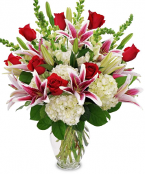 Gazing at the Stars Cut flowers