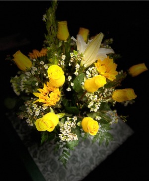 Gazing Yellow 