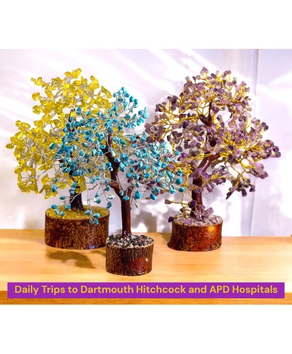 Gem Tree  (for ISCU, ICU, NICU, Hematology/Oncology)