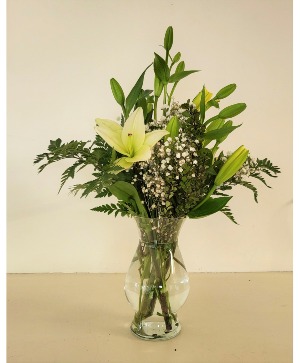 Lily Love 