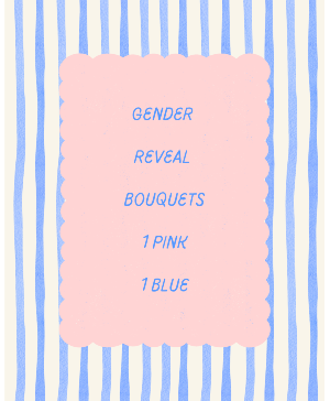 GenderReveal Set 