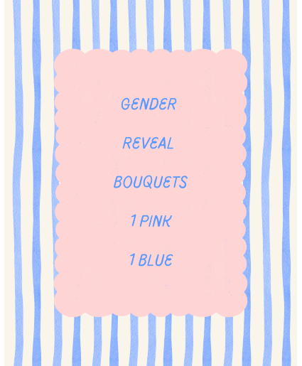 GenderReveal Set 