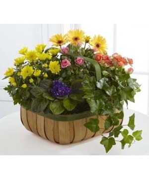 Gentle Blossoms Basket 