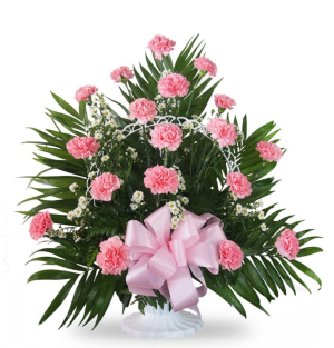 Gentle Farewell Funeral