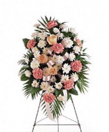 Gentle Thought spray 