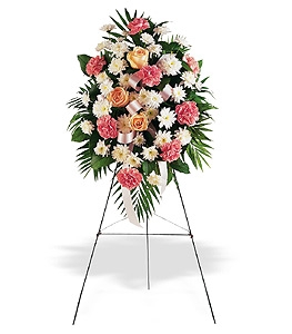 Gentle Thoughts Spray