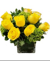 Pocketful of Sunshine Cut Flowers