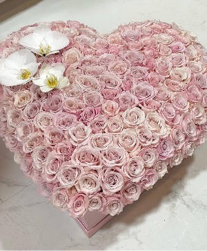 Heart Whispers 