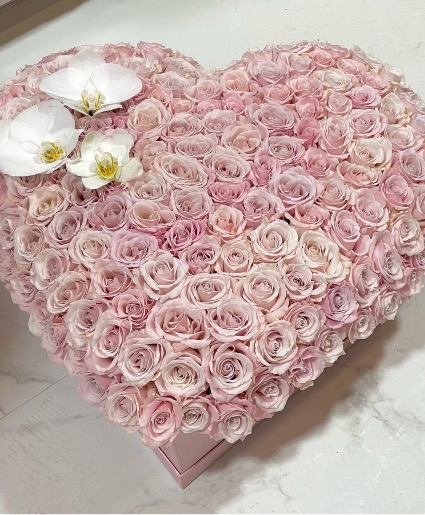 Heart Whispers 