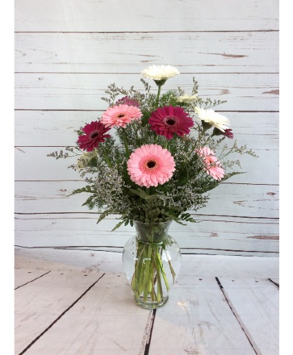 Gerber Daisy Arrangement  