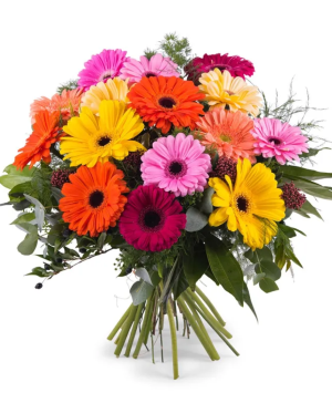 Gerbera Bouquet 