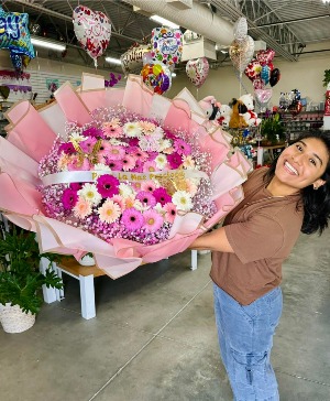 Gerbera Buchon   