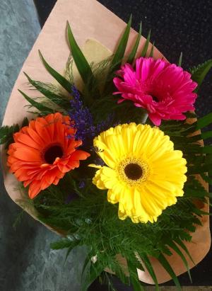 Gerbera Bouquet Cuts, no vase