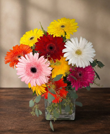 GERBERA DAISIES Fresh floral arrangement  in Weatherford, OK | The Flower Box Florist