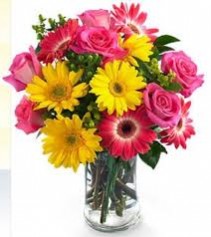 Gerbera Daisy  & Roses Combo 