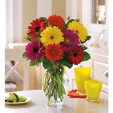 Gerbera Delight Bouquet Any Occasion