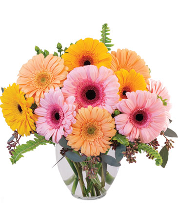 Gerbera Dreams Floral Design in Darien, CT | DARIEN FLOWERS