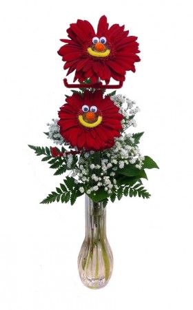 Gerbera Girl/Guy Vase Arrangement
