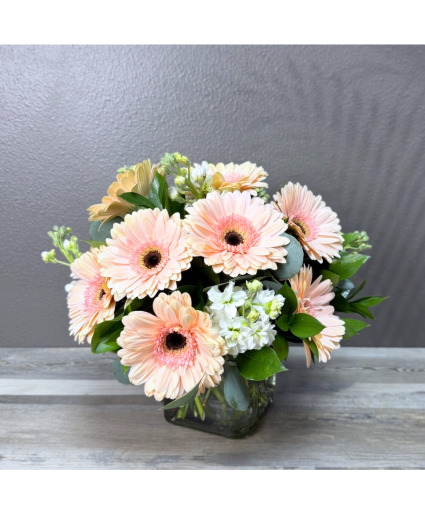 Gerbera Glory  Centerpiece