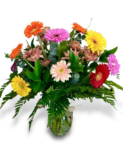 Gerbera Glow 