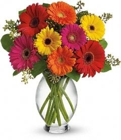 Gerbera Vase 