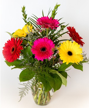 Gerberas for you Mixed Gerbera