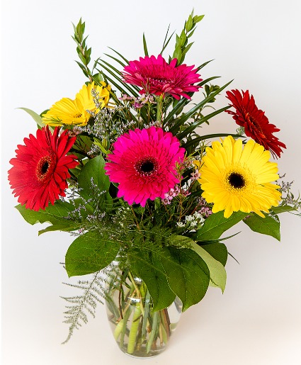 Gerberas for you Mixed Gerbera