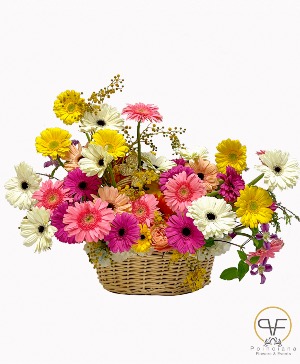 Gerberas Lovers  