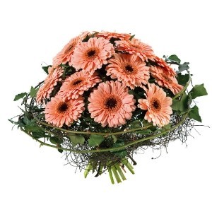 Gerbera bouquet bouquet