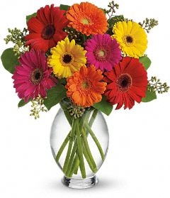 Gerbra's Bright mixed gerbera arrangement
