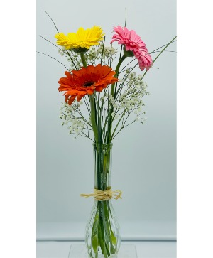 GerbraTrio Vase 