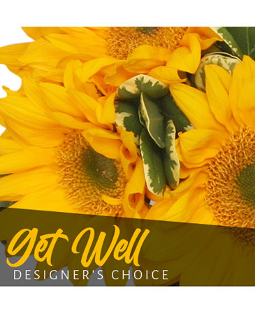 Get Well Bouquet Designer's Choice in Marmaduke, AR | Choco Taco Florist ***TEST SHOP****